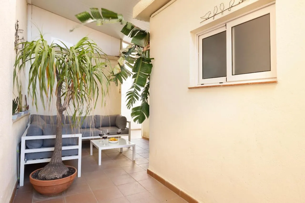 Barcelona Sunny Terrace Appartement L'Hospitalet de Llobregat Accommodatie bij particulieren
